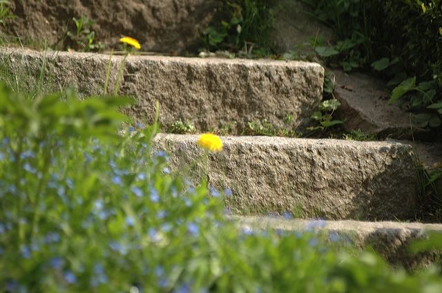 dsc_3024.jpg