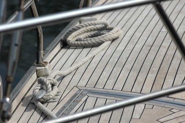 dsc_3105.jpg
