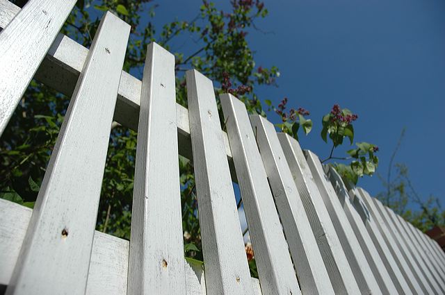 dsc_3302.jpg