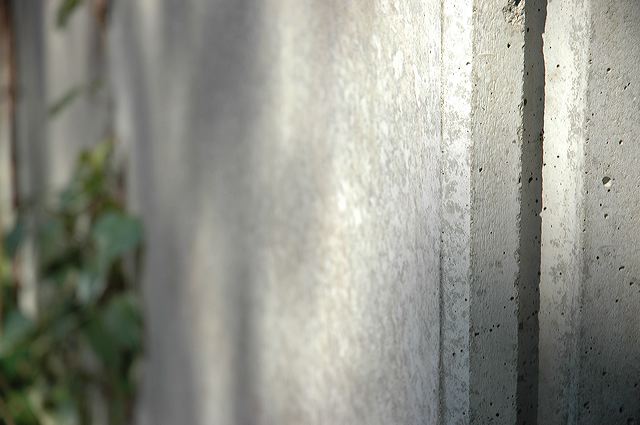 dsc_3333.jpg