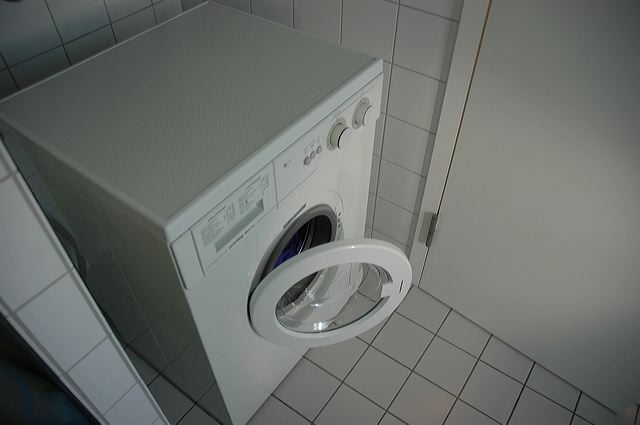 dsc_5308.jpg